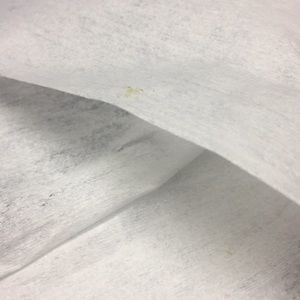 Meet your Posher, Daphne